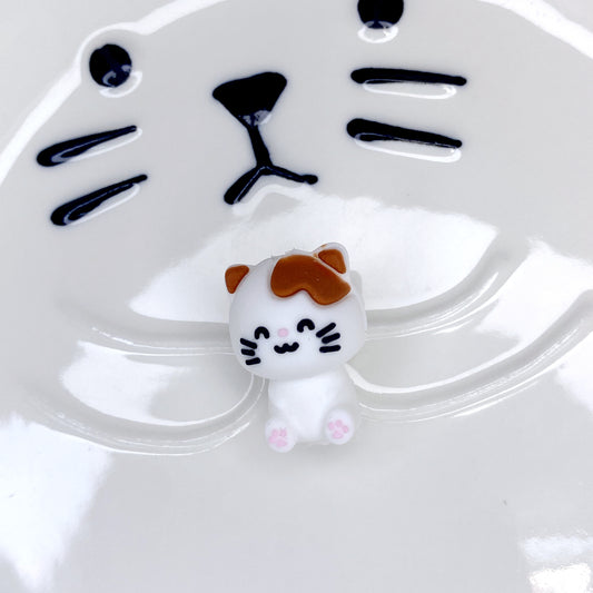 focal 3D cat